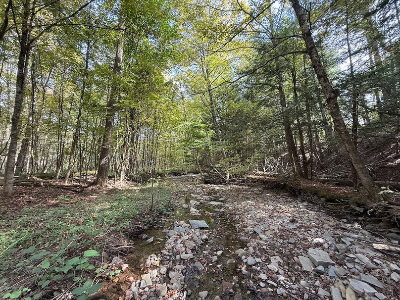 Tioga_30_Flanner Photo 37