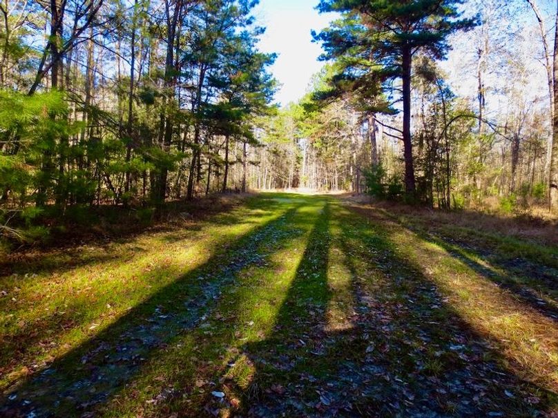 BEC22C9E-C58F-4697-A4DC-877E7AF6E5CF_1_105_c