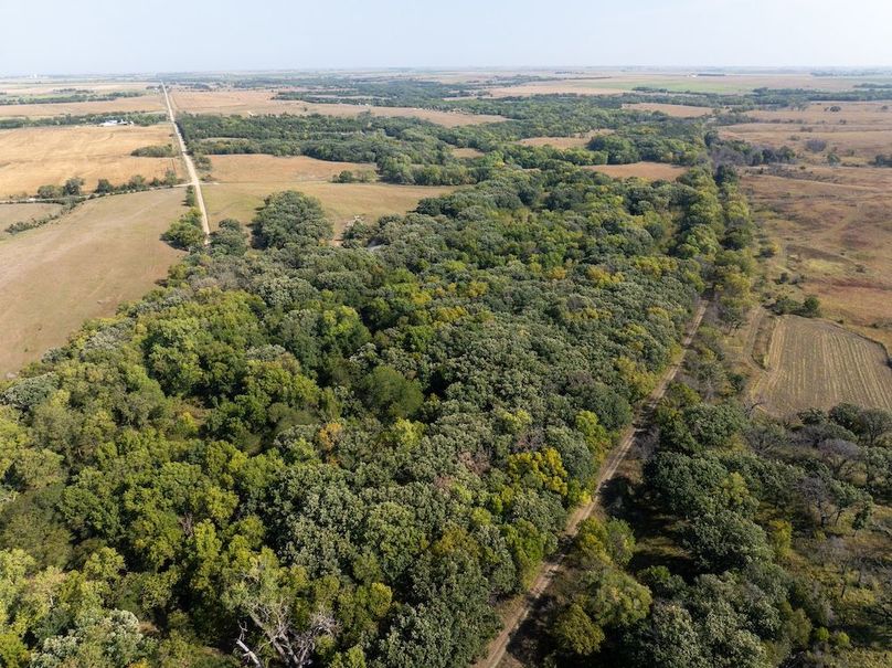 20240913-DJI_20240913105446_0116_D