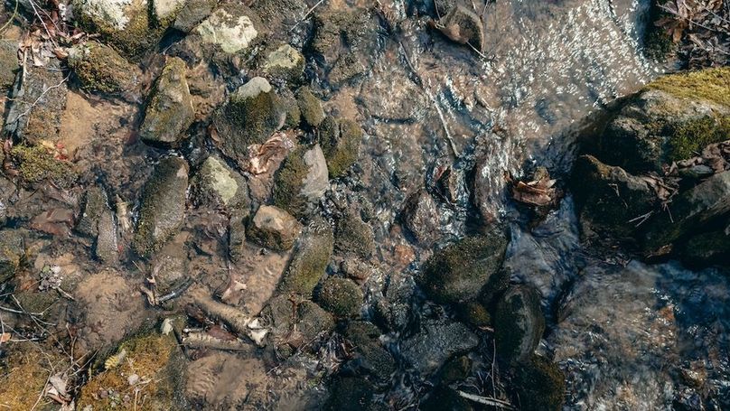 DJI_20260217115143_0079_D