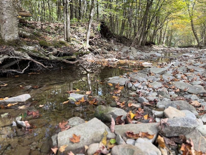 Tioga_30_Flanner Photo 16