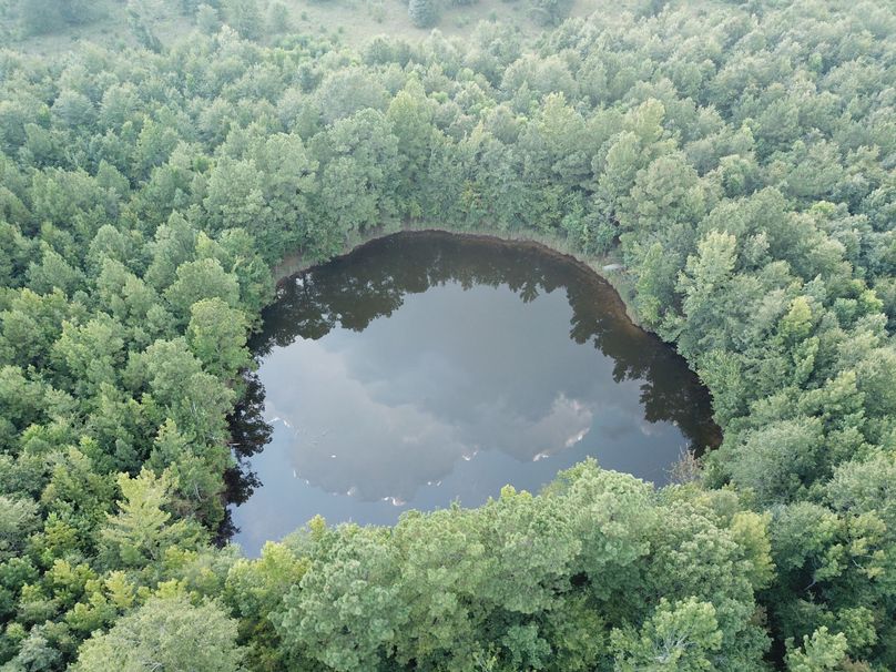 DJI_0710