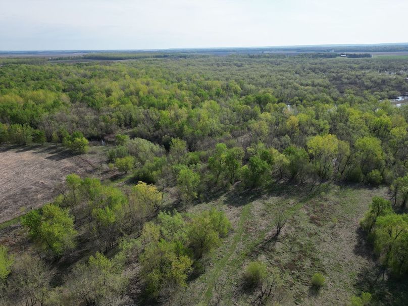 DJI_0254