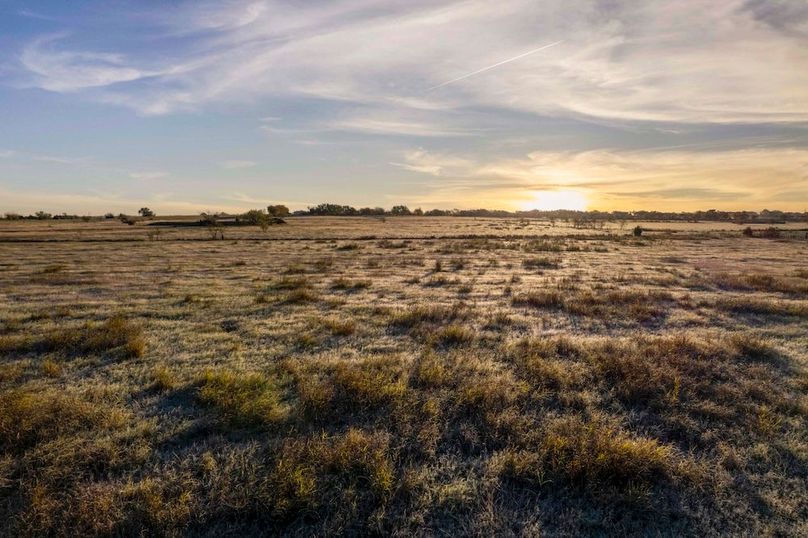 Cooke County- 13.5 acres no pond (6 of 21)