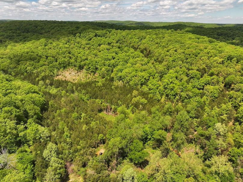 DJI_20250506124541_0225_D