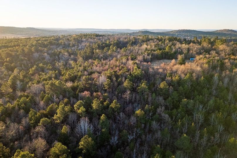 DJI_20260116075207_0012_D