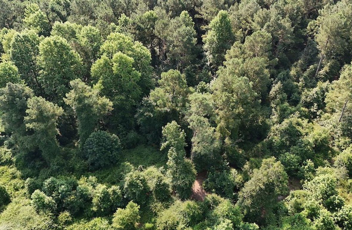 DJI_20250627094051_0082_D