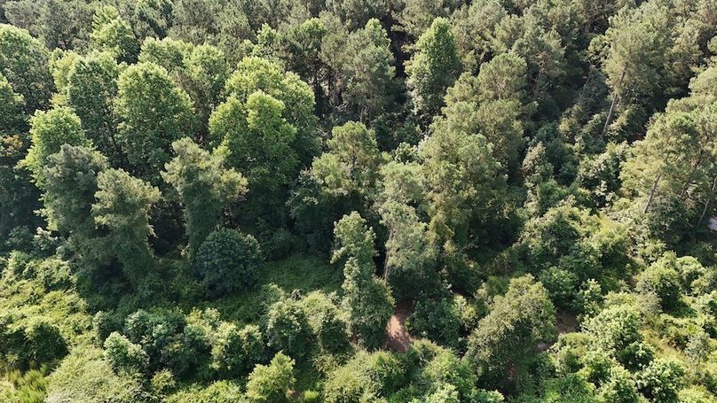 DJI_20250627094051_0082_D