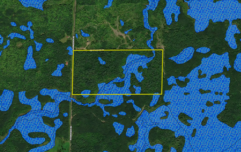 3854 Rasmussen Rd. Wetland layer 