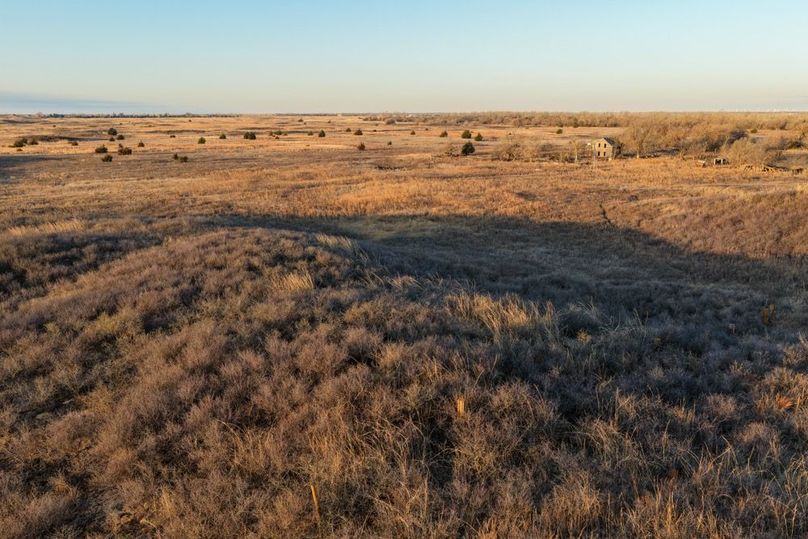 DJI_20260311082447_0534_D