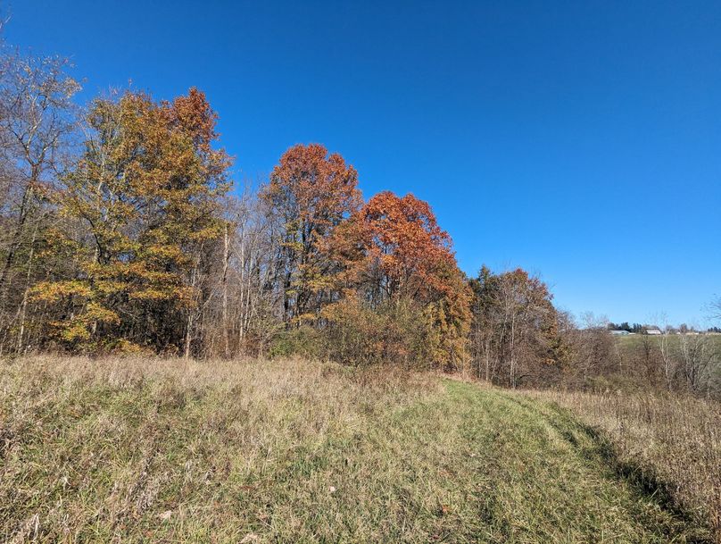 PXL_20231103_154326845