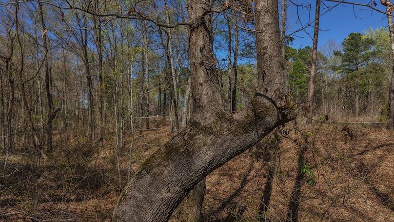 DJI_20260311012037_0042_D