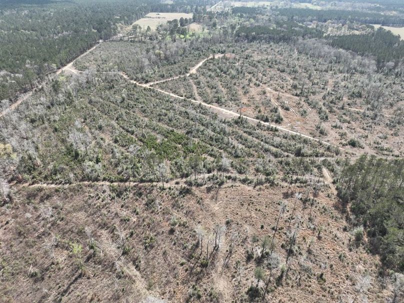 dji_fly_20260303_140448_310_1772637891815_photo