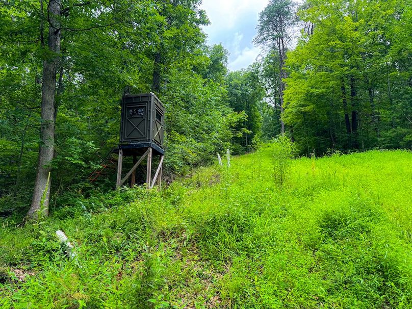 Tyler, WV 46 Lemasters -19