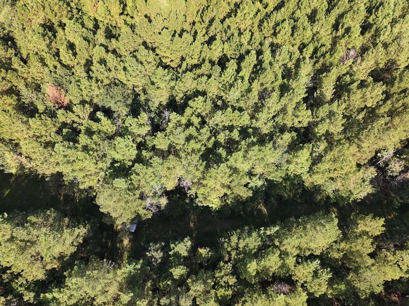 dji_fly_20250908_094152_0423_1757354101029_photo