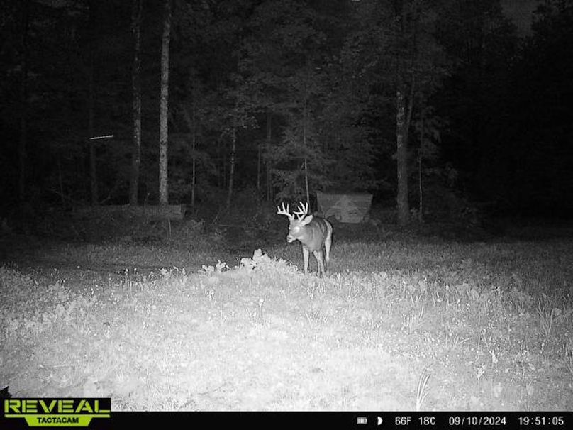 865814048724973-100-3-09102024195104-W1010030