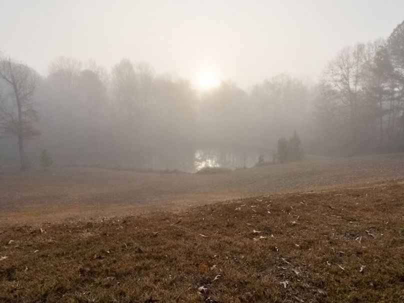 Claiborne Co - 274 - Marian-089