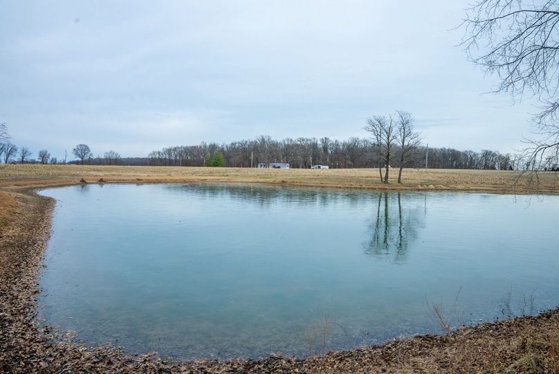 Copy of DSC00733 Large