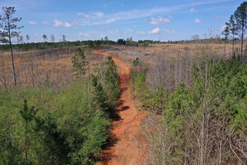 Copy of 50ftEntrance-1