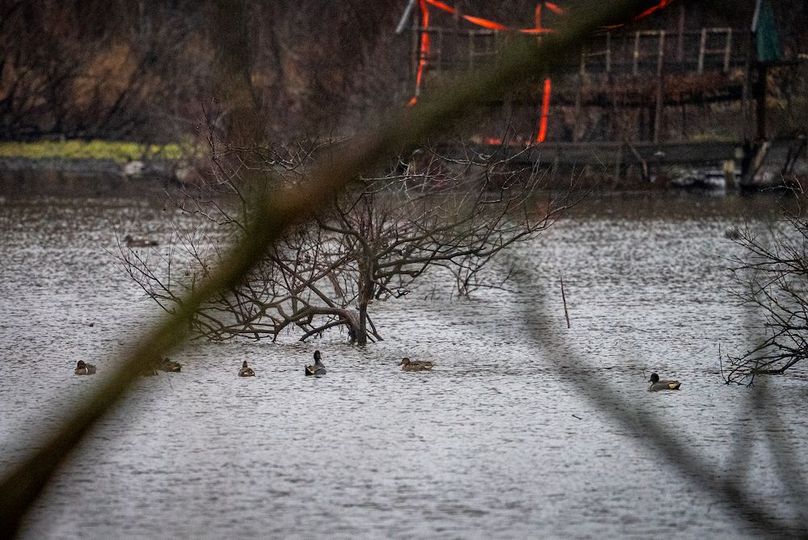 St Clair IL 263.95 Featured_Pro Photo-71