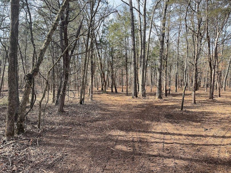 5626C266-7216-4B87-A022-362DE31B34D1