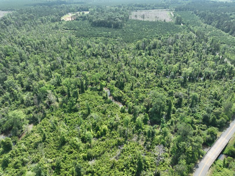 dji_fly_20230516_110000_111_1684333519981_photo