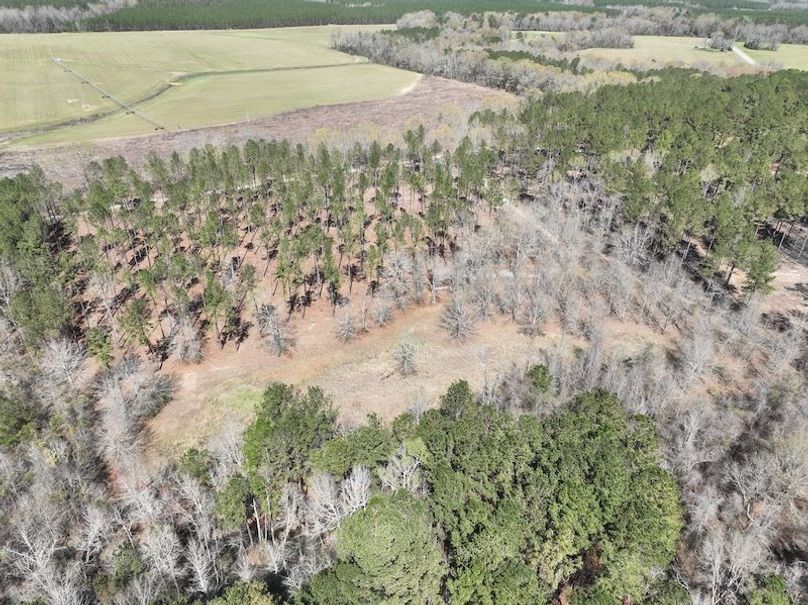 dji_fly_20240307_121130_152_1709831750729_photo