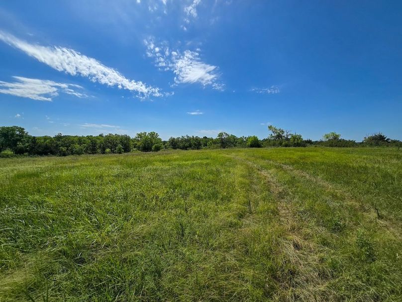 Copy of 20250729_112357