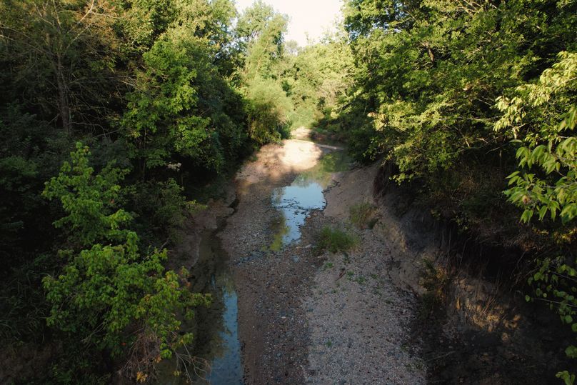 Fannin 37 Acres-13