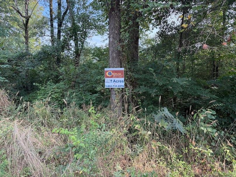 Photo Aug 14 2025, 8 58 01 AM