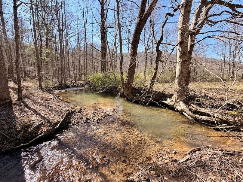 Morgan Co TN 310.833 Schneller_42