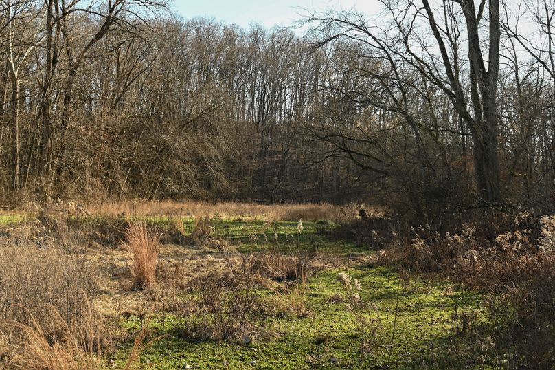 vandalia 450 (2)-693