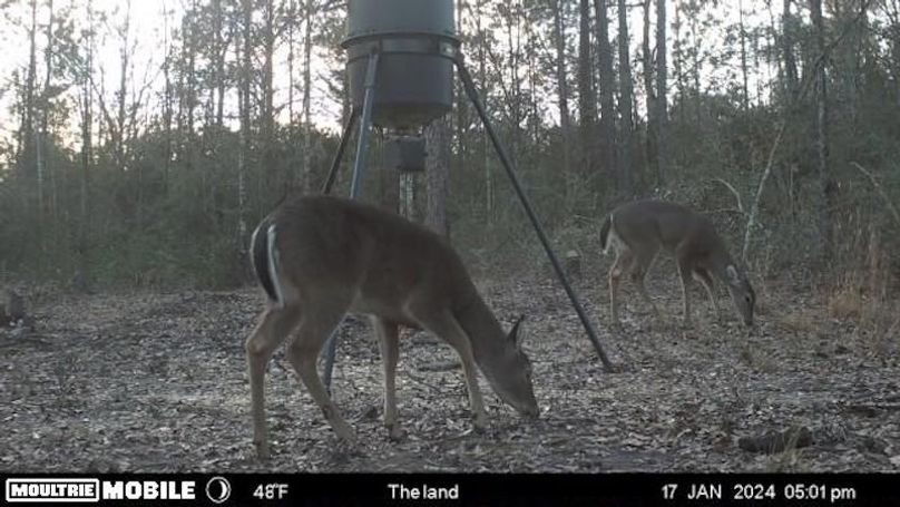 image638476368009272539