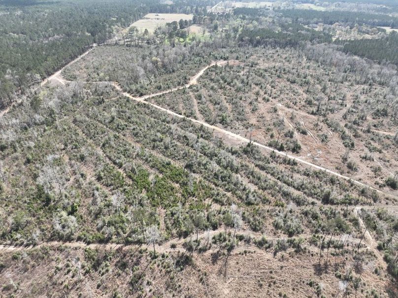 dji_fly_20260303_140456_311_1772637887476_photo