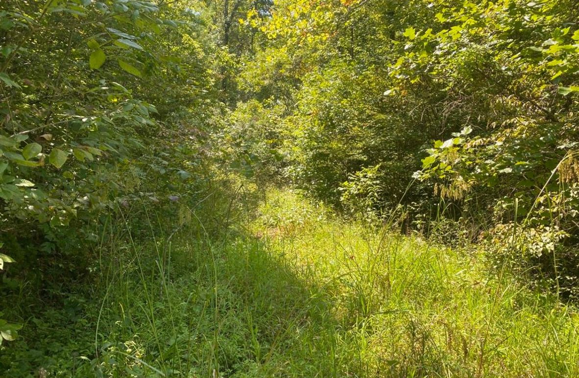 004 the access leading up the hill towards the property copy