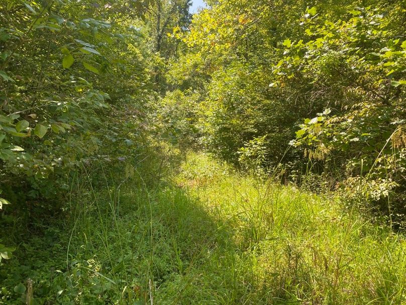 004 the access leading up the hill towards the property copy