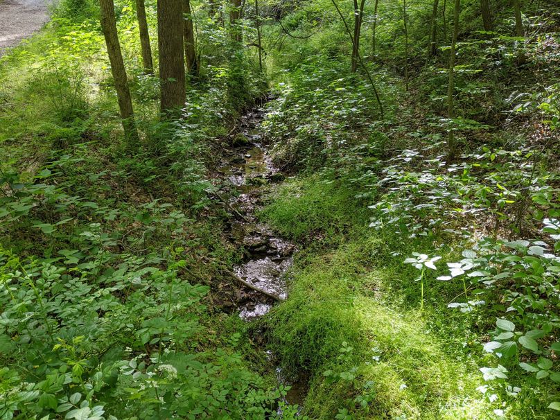 PXL_20230515_211953259