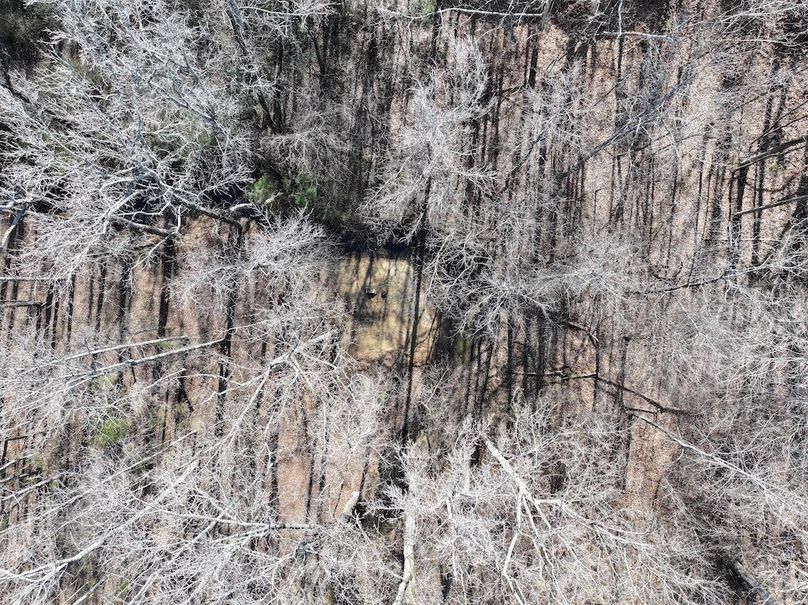 dji_fly_20260107_123202_0369_1767818745841_photo