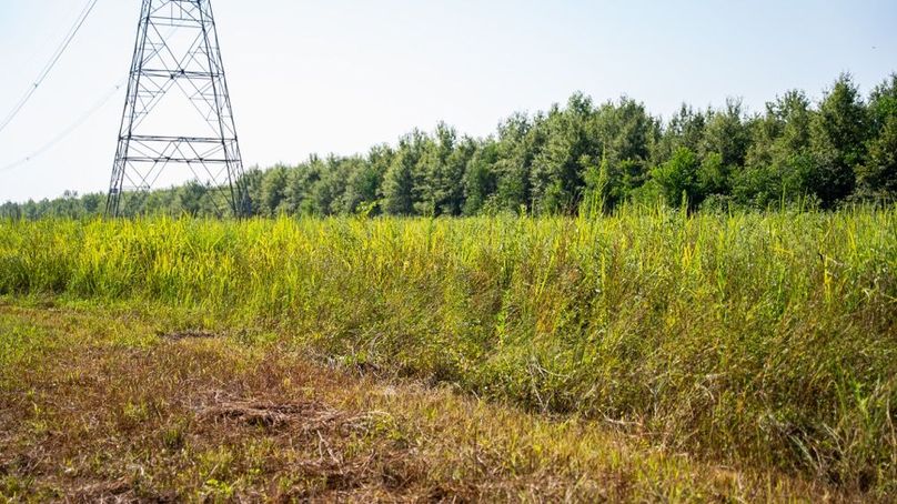 MadisonParLa1372-123