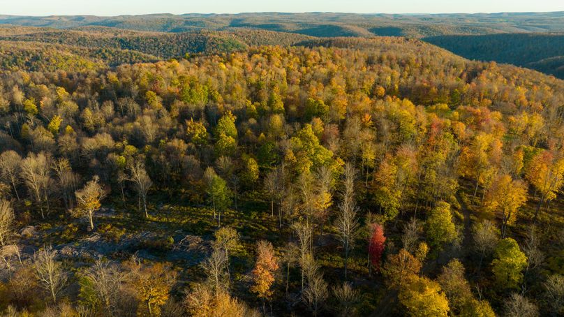 Elk PA 7000 Feature_Pro Photo-153