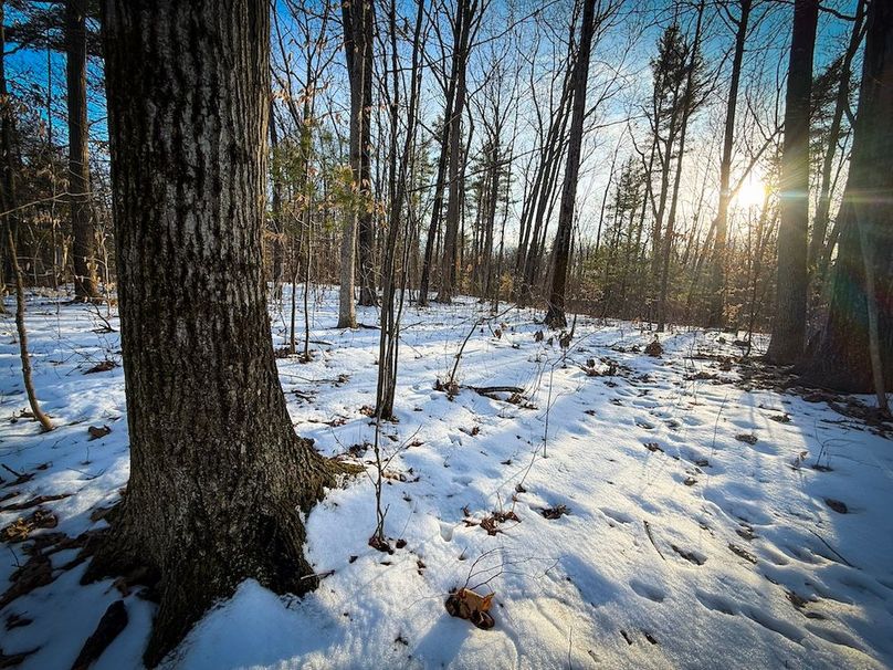 Seneca_43_Hohwald_Photos_9