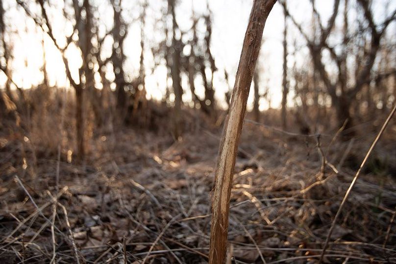 ATCHISON CO MO 56_22