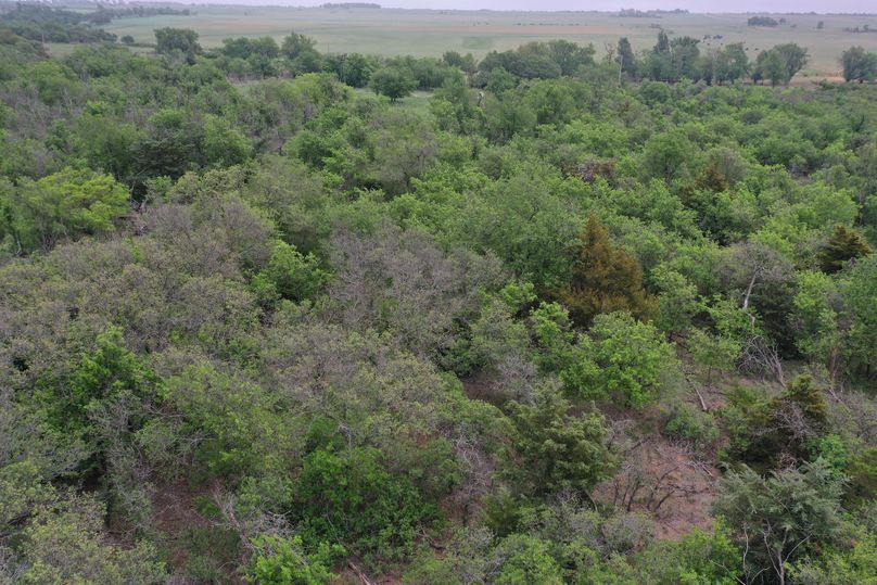 DJI_0425