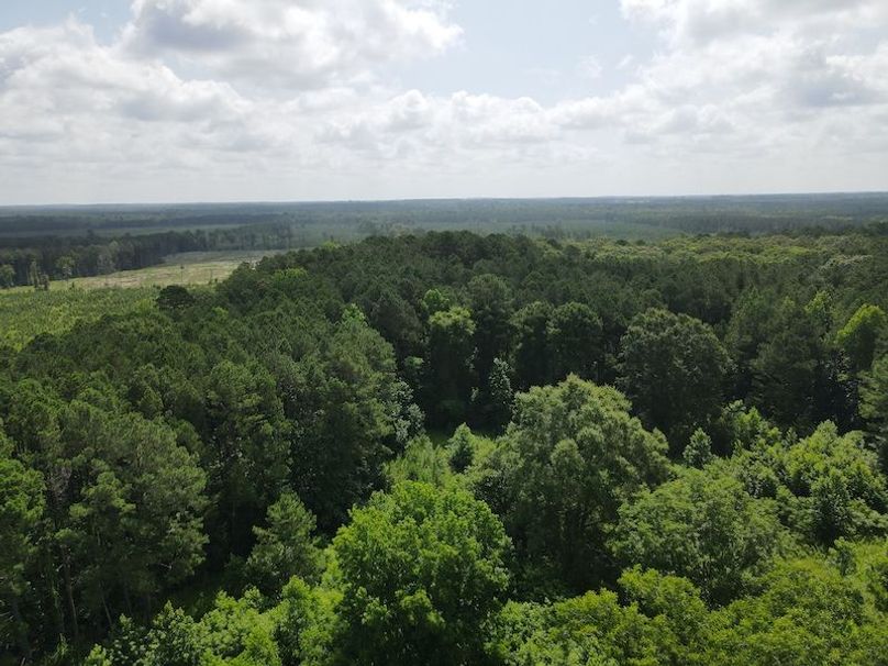 DJI_0337