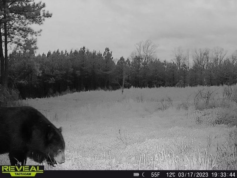 861107034983370-90-5-03172023193344-W1001369