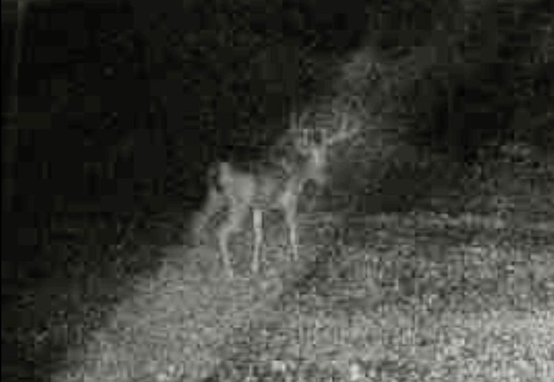 Screenshot_20210816-170015