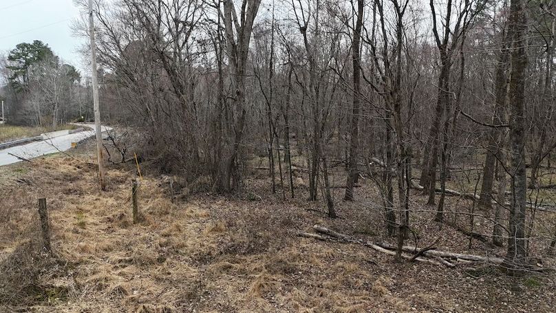 dji_fly_20260225_113652_0125_1772037651785_photo