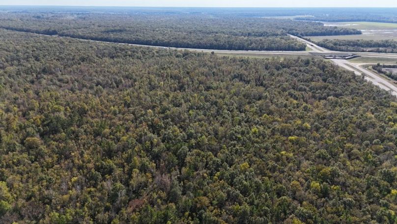 dji_fly_20251106_035646_0102_1762382140458_photo