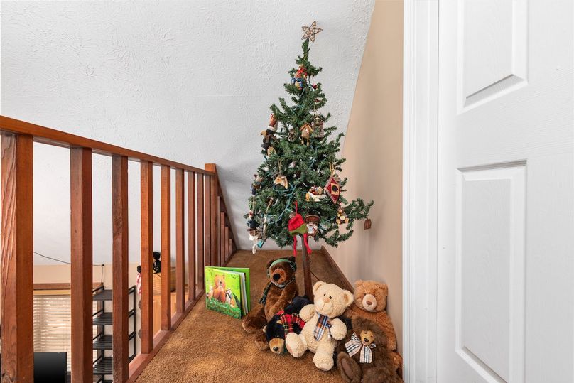 23-2E6A2610_546 Wild Turkey Ridge - Absolute Altitude -10 - 2024 - 07