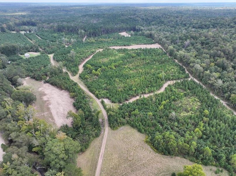 dji_fly_20251001_133024_0588_1759492699457_photo